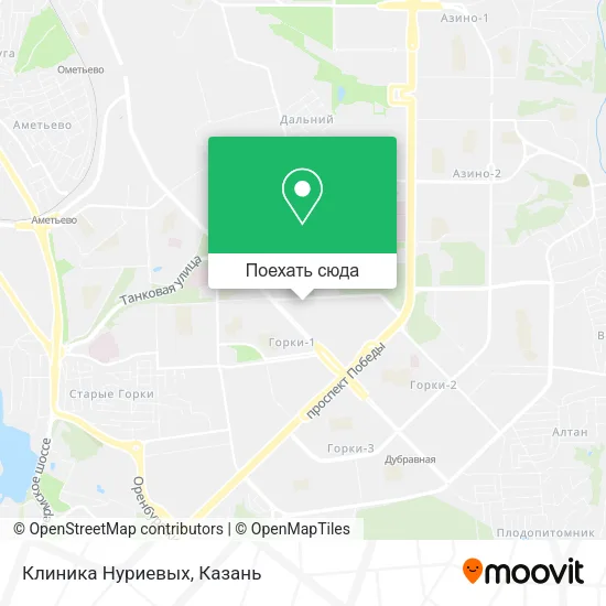 Карта Клиника Нуриевых
