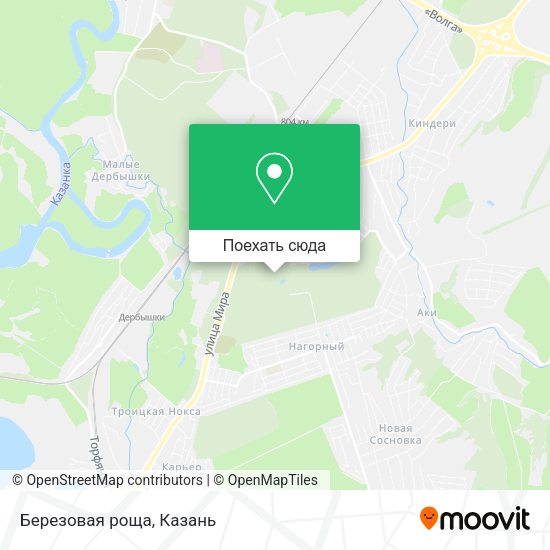 Карта Березовая роща