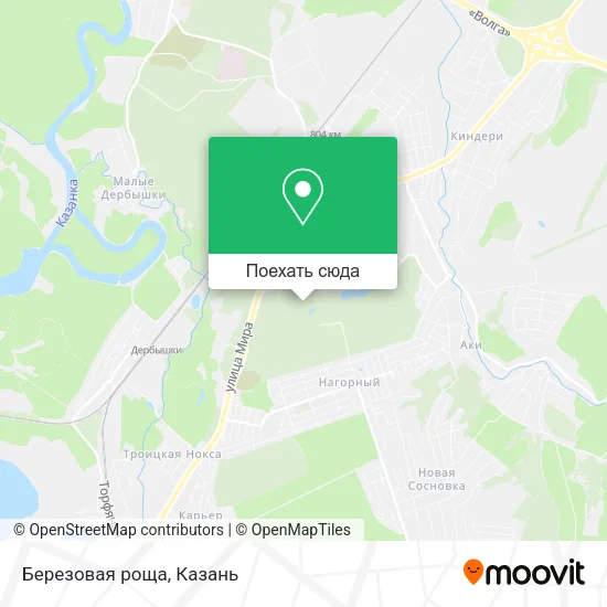 Карта Березовая роща