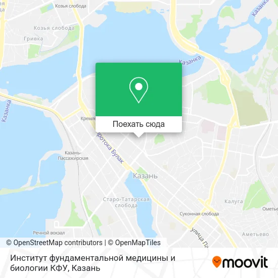Карта Институт фундаментальной медицины и биологии КФУ
