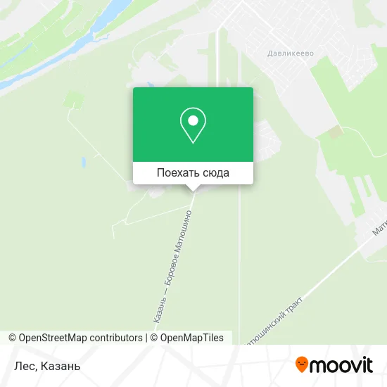 Карта Лес