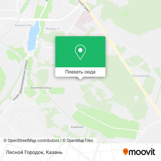 Карта Лесной Городок