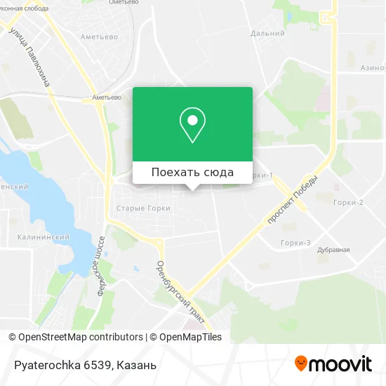 Карта Pyaterochka 6539