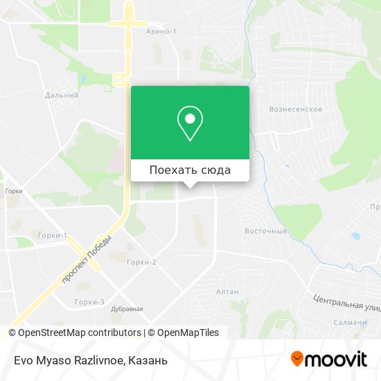 Карта Evo Myaso Razlivnoe