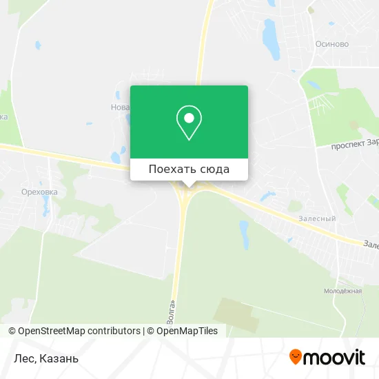 Карта Лес