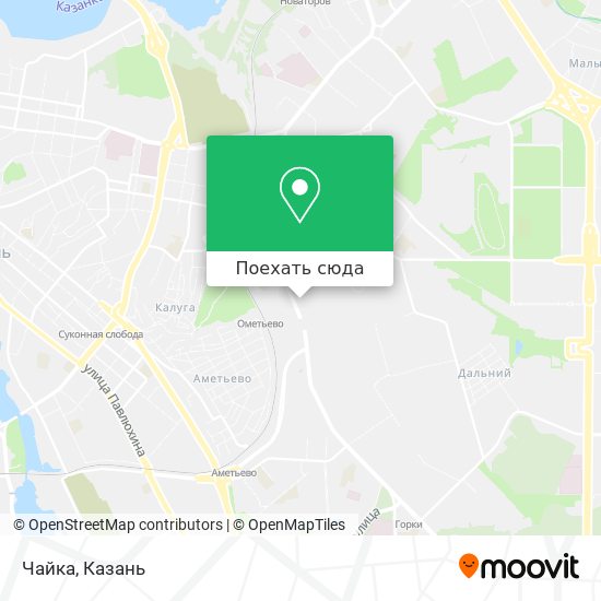 Карта Чайка
