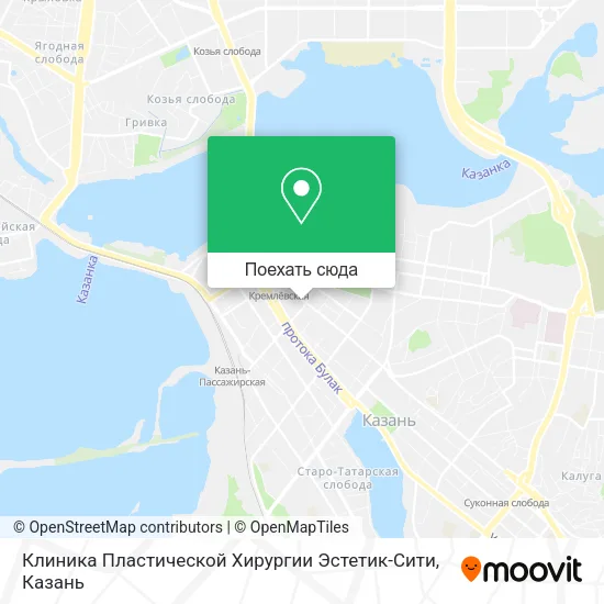 Карта Клиника Пластической Хирургии Эстетик-Сити