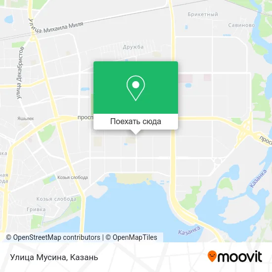 Карта Улица Мусина