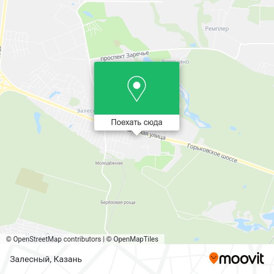 Карта Залесный