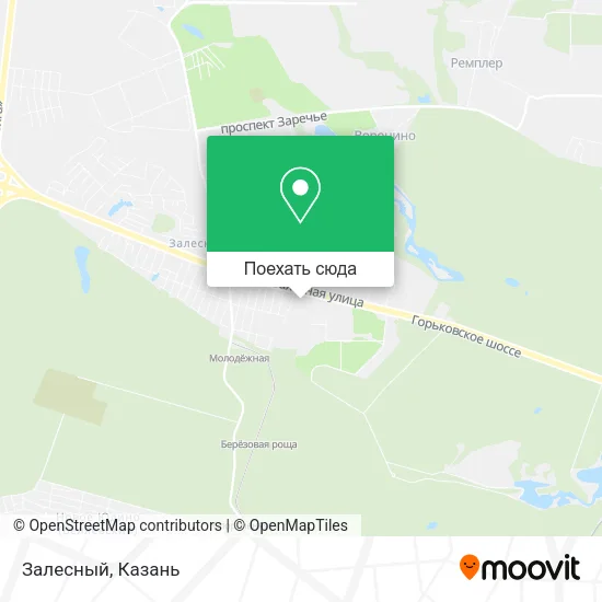 Карта Залесный