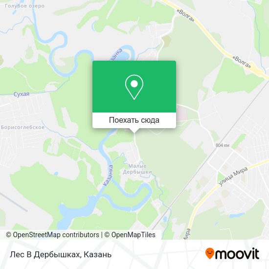 Карта Лес В Дербышках