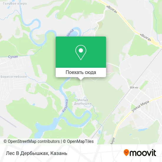 Карта Лес В Дербышках