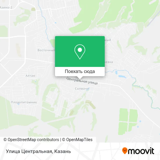 Карта Улица Центральная