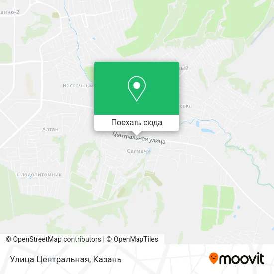 Карта Улица Центральная