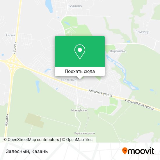 Карта Залесный