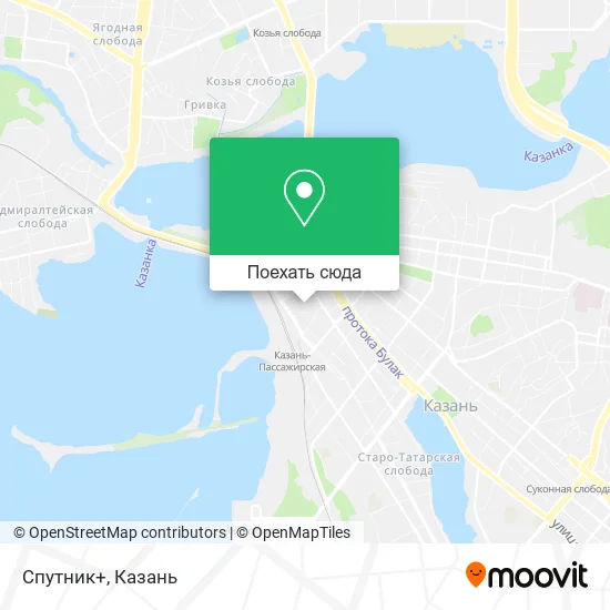 Карта Спутник+