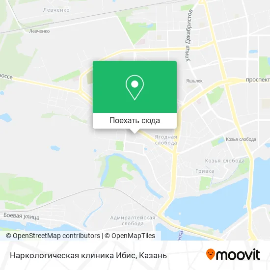 Карта Наркологическая клиника Ибис