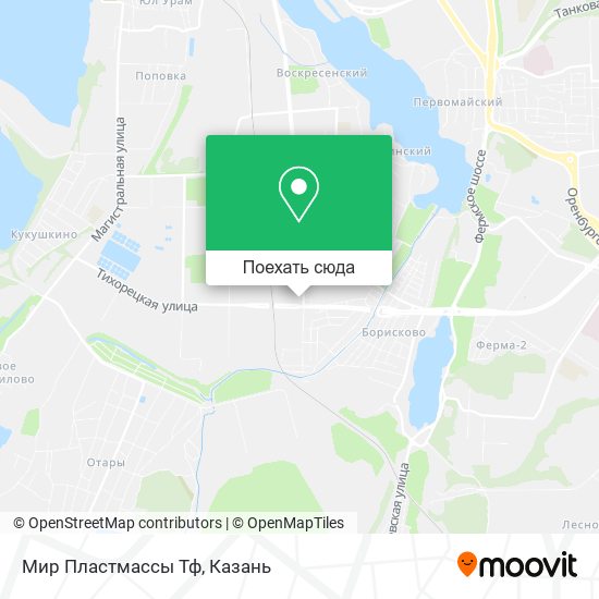 Карта Мир Пластмассы Тф