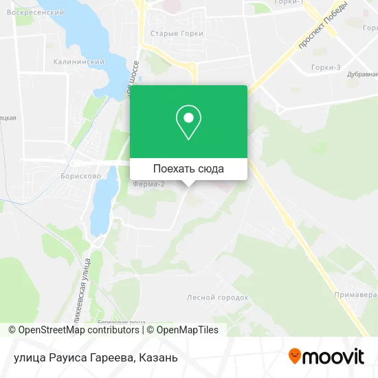 Карта улица Рауиса Гареева