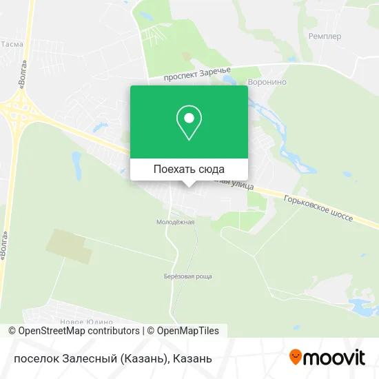 Карта поселок Залесный (Казань)