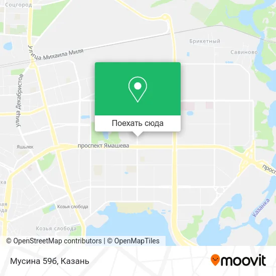 Карта Мусина 59б