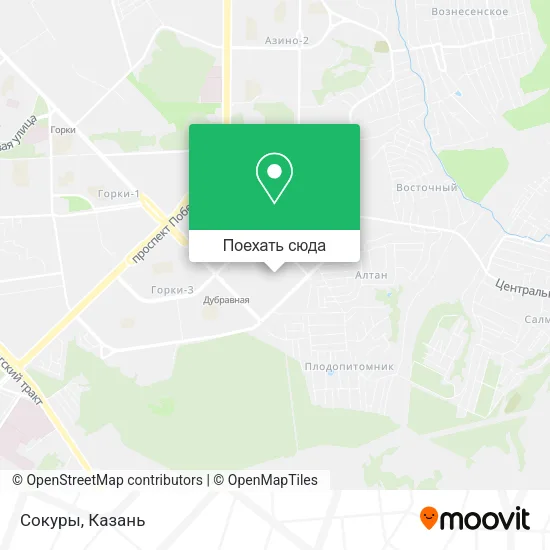 Карта Сокуры