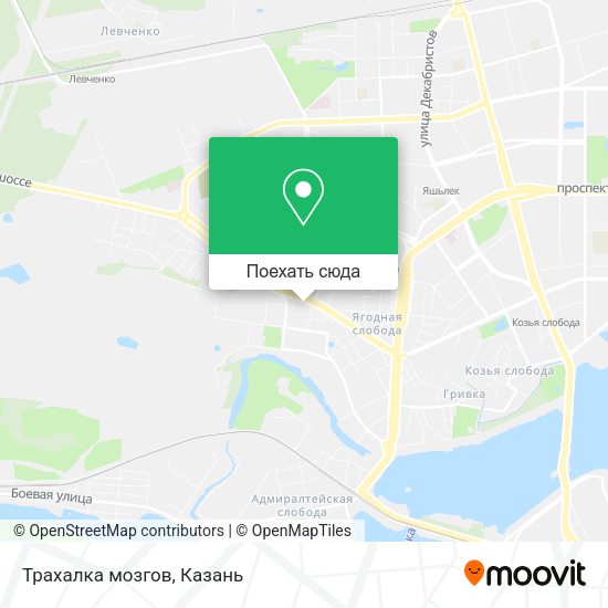 Карта Трахалка мозгов