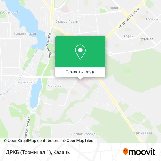 Карта ДРКБ (Терминал 1)