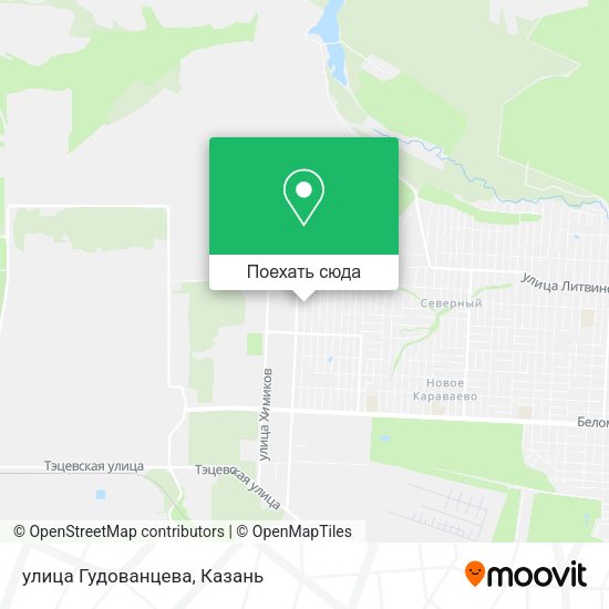 Карта улица Гудованцева
