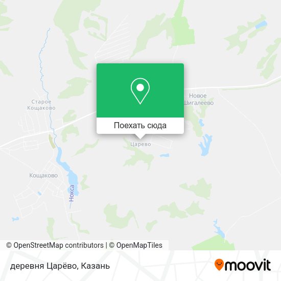 Карта деревня Царёво