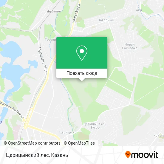 Карта Царицынский лес