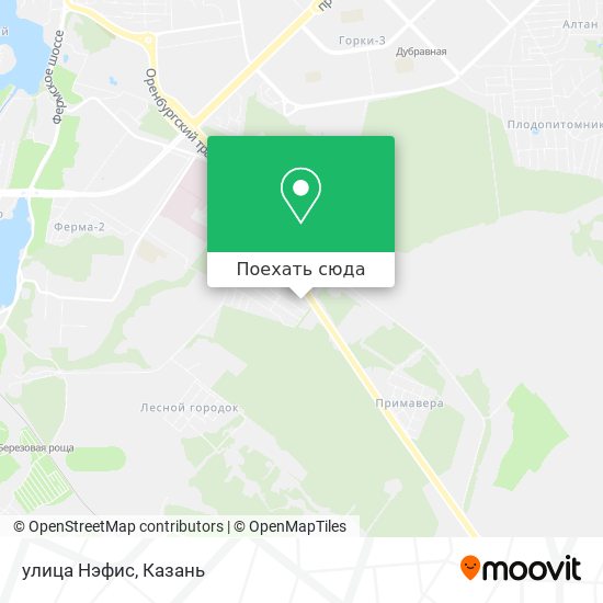 Карта улица Нэфис