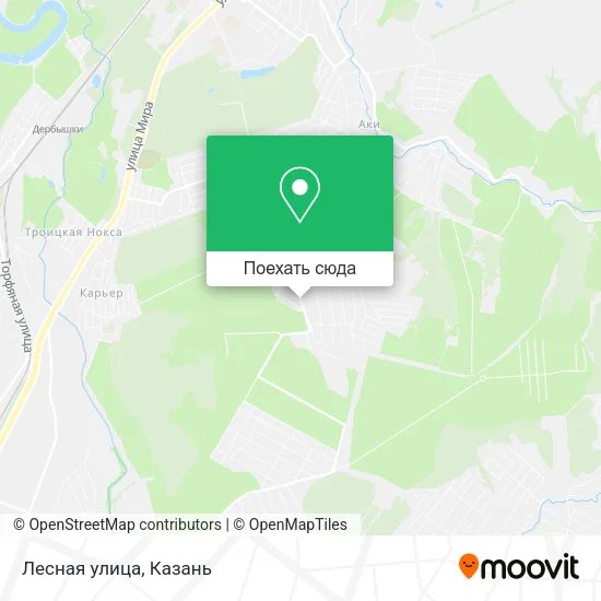 Карта Лесная улица