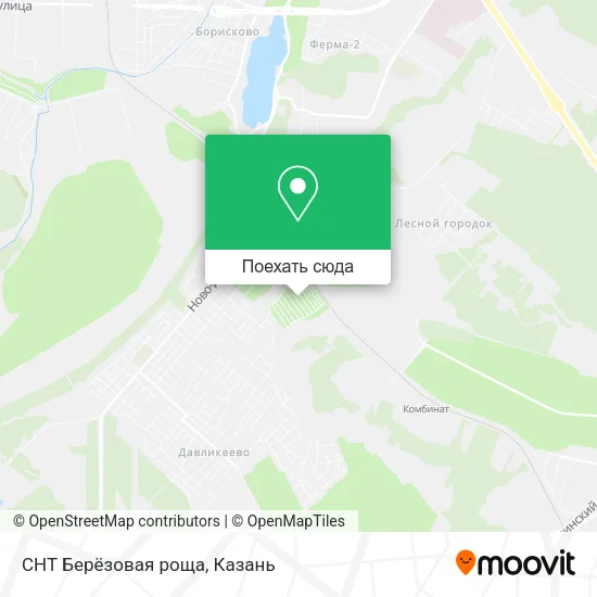 Карта СНТ Берёзовая роща