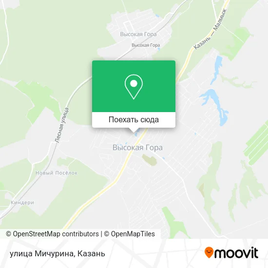 Карта улица Мичурина