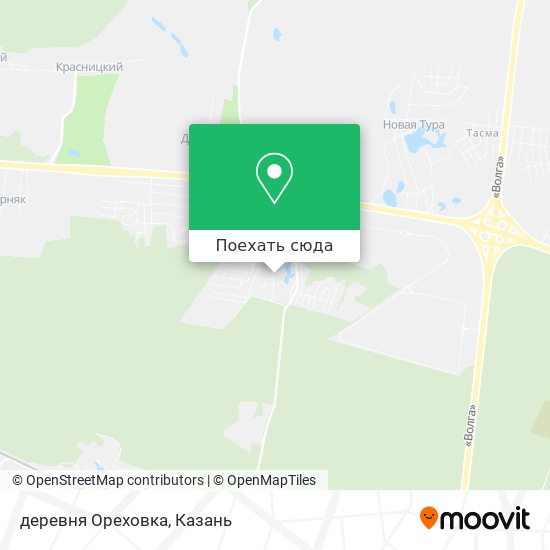 Карта деревня Ореховка