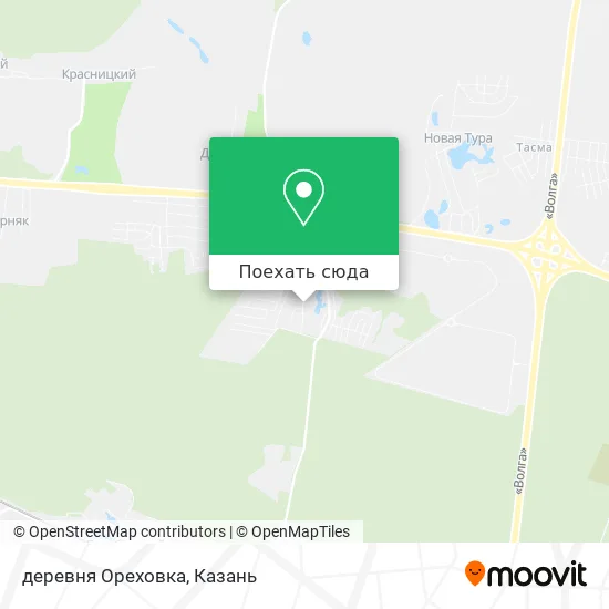 Карта деревня Ореховка