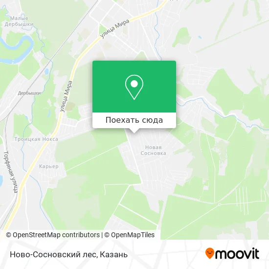Карта Ново-Сосновский лес