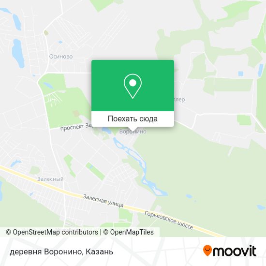 Карта деревня Воронино