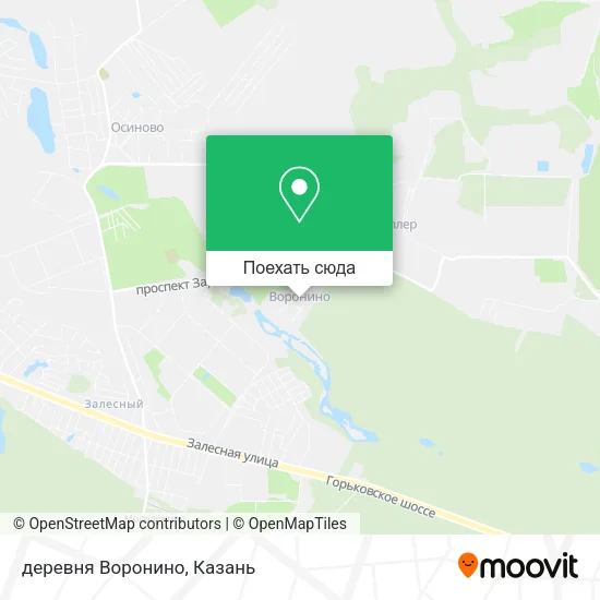 Карта деревня Воронино