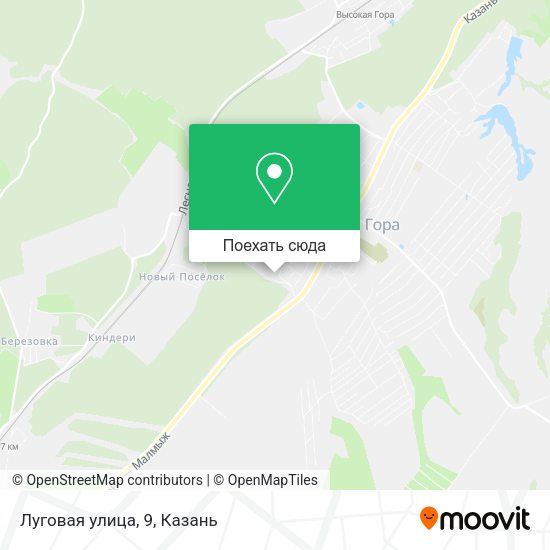 Карта Луговая улица, 9