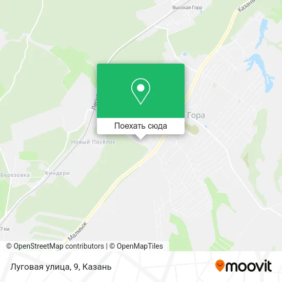 Карта Луговая улица, 9