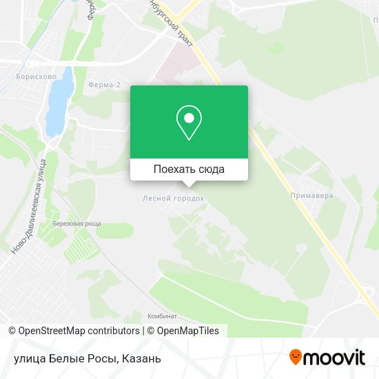 Карта улица Белые Росы