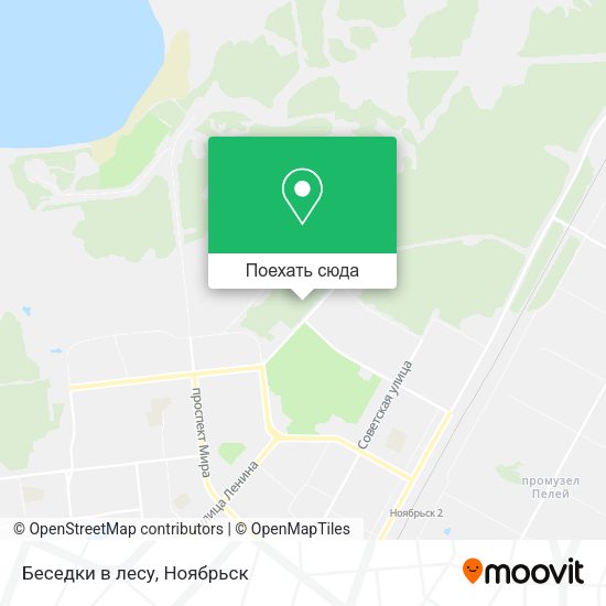 Карта Беседки в лесу