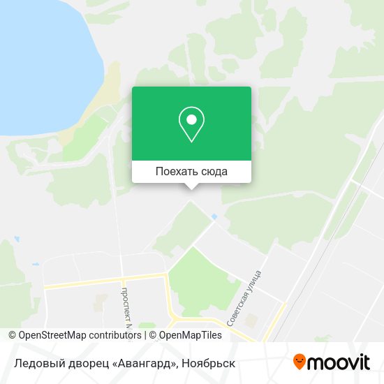 Карта Ледовый дворец «Авангард»