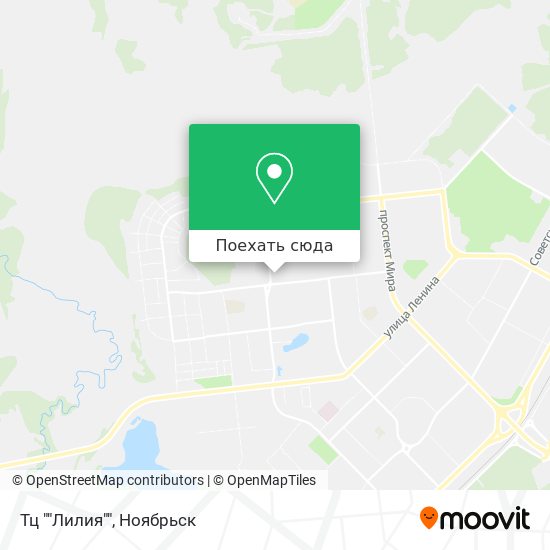 Карта Тц ""Лилия""