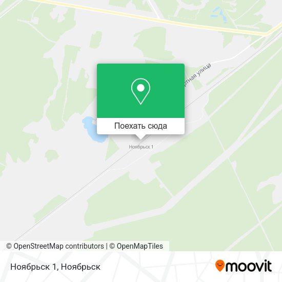 Карта Ноябрьск 1