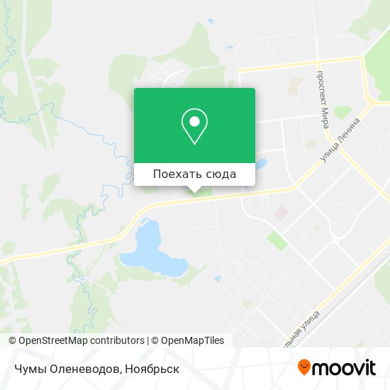 Карта Чумы Оленеводов