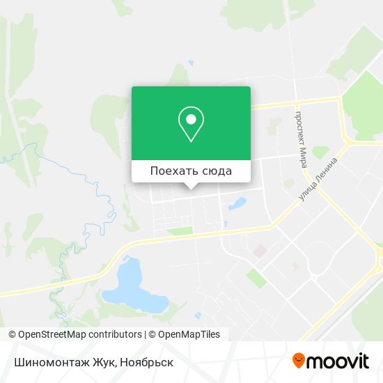 Карта Шиномонтаж Жук