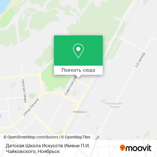 Карта Детская Школа Искусств Имени П.И. Чайковского